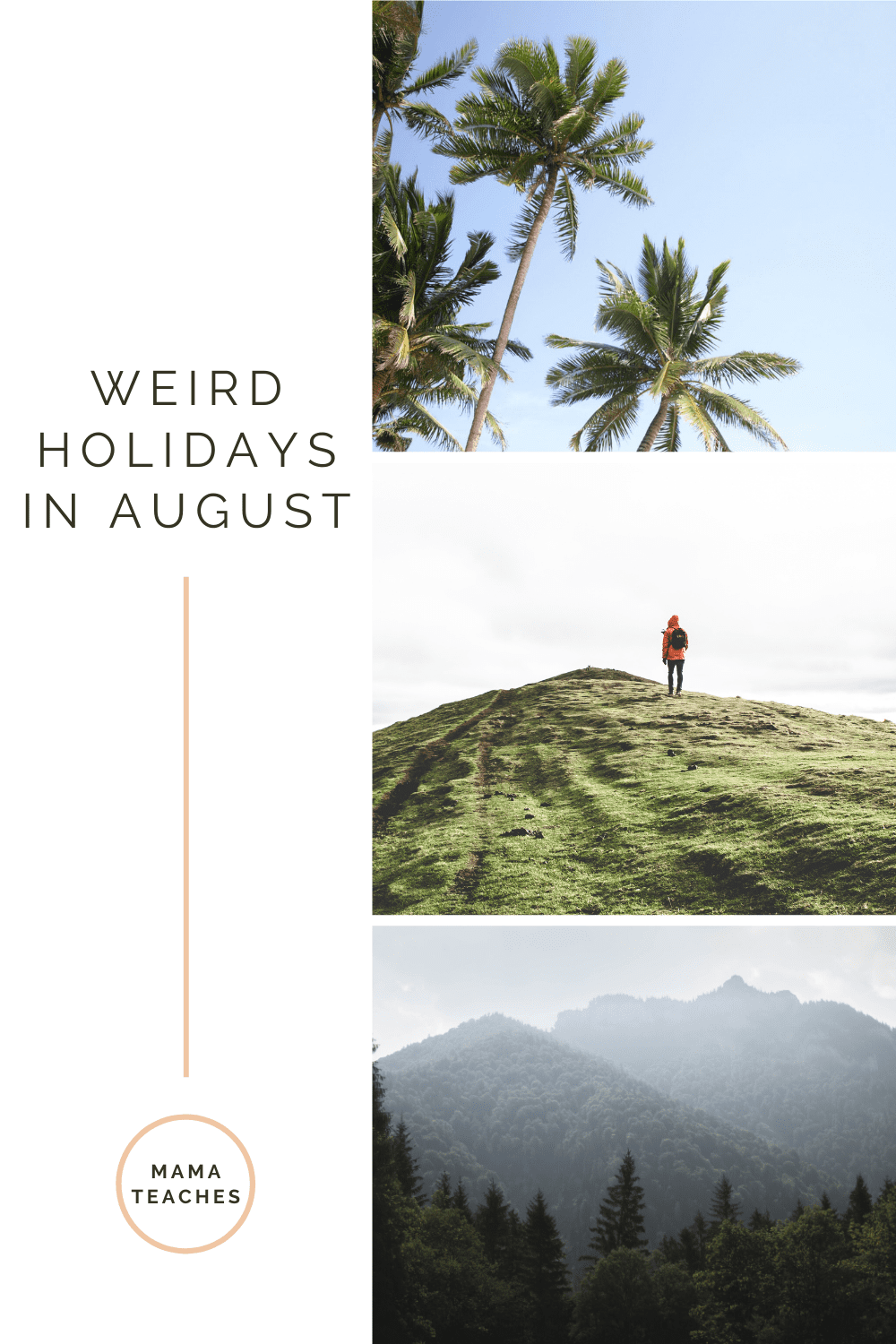 Weird Holidays in August