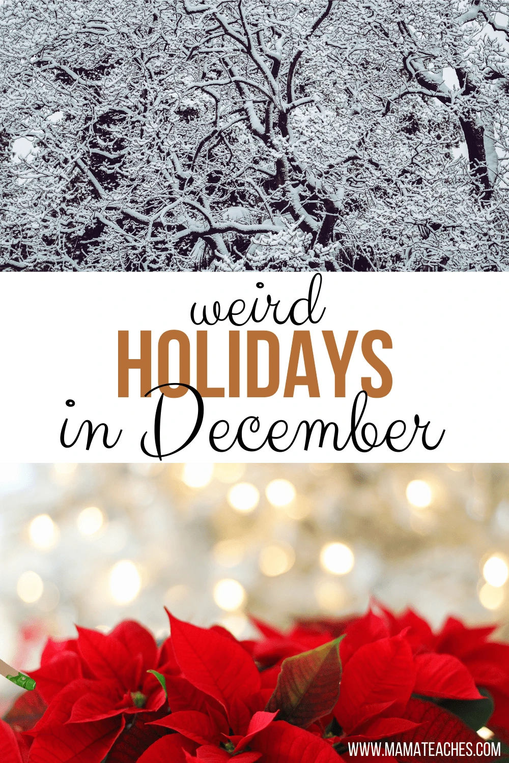 Weird Holidays in December