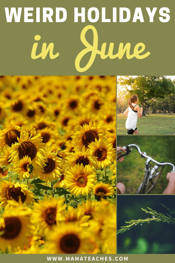 Weird Holidays in June to Celebrate This Year - Mama Teaches