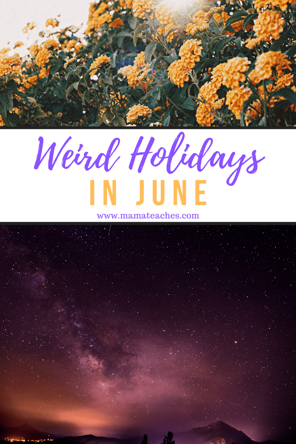 Weird Holidays in June