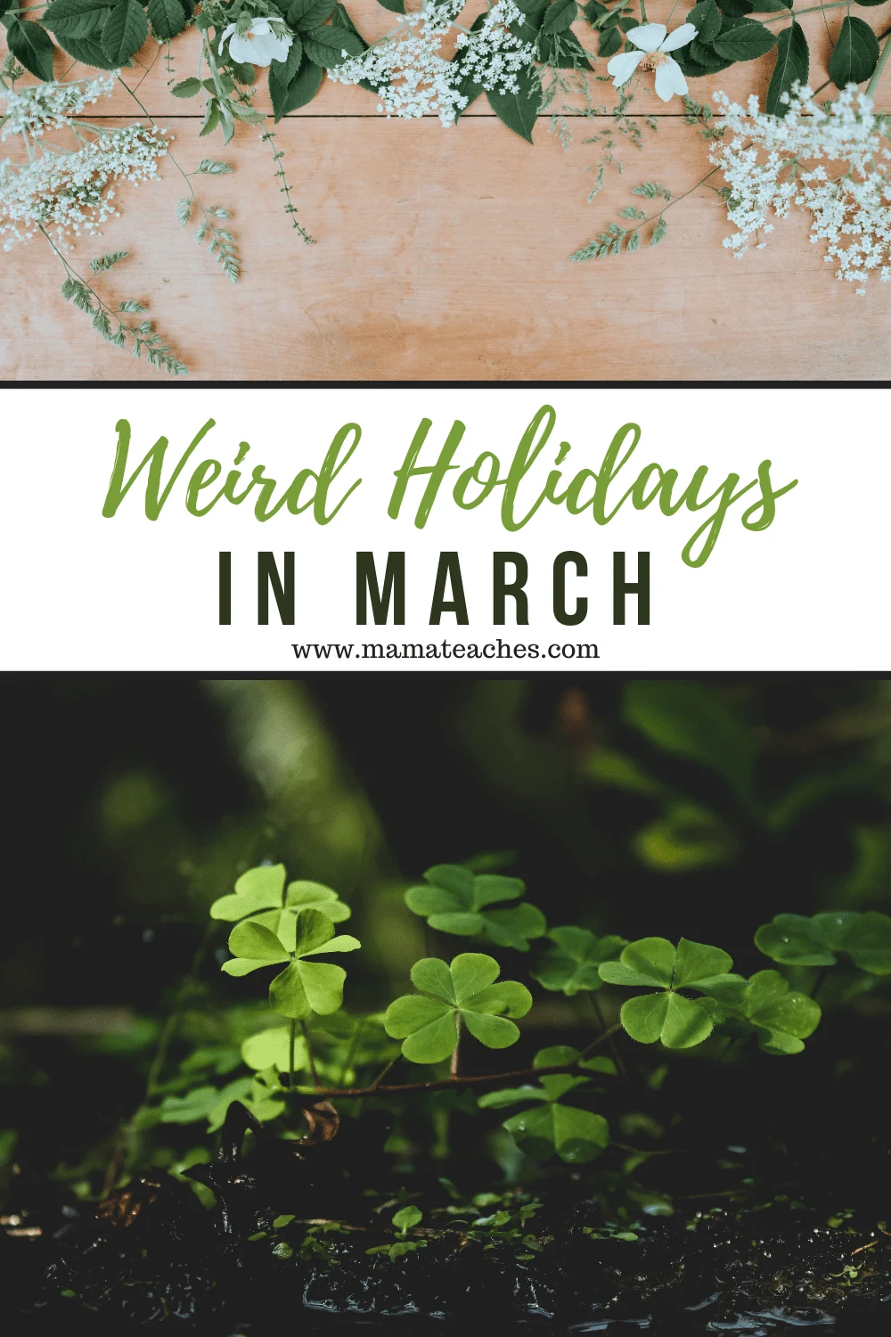 Weird Holidays in March