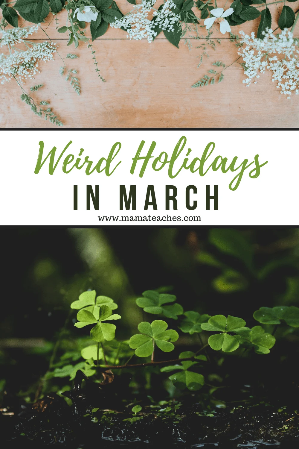 Unusual and Weird Holidays in March for Kids Mama Teaches