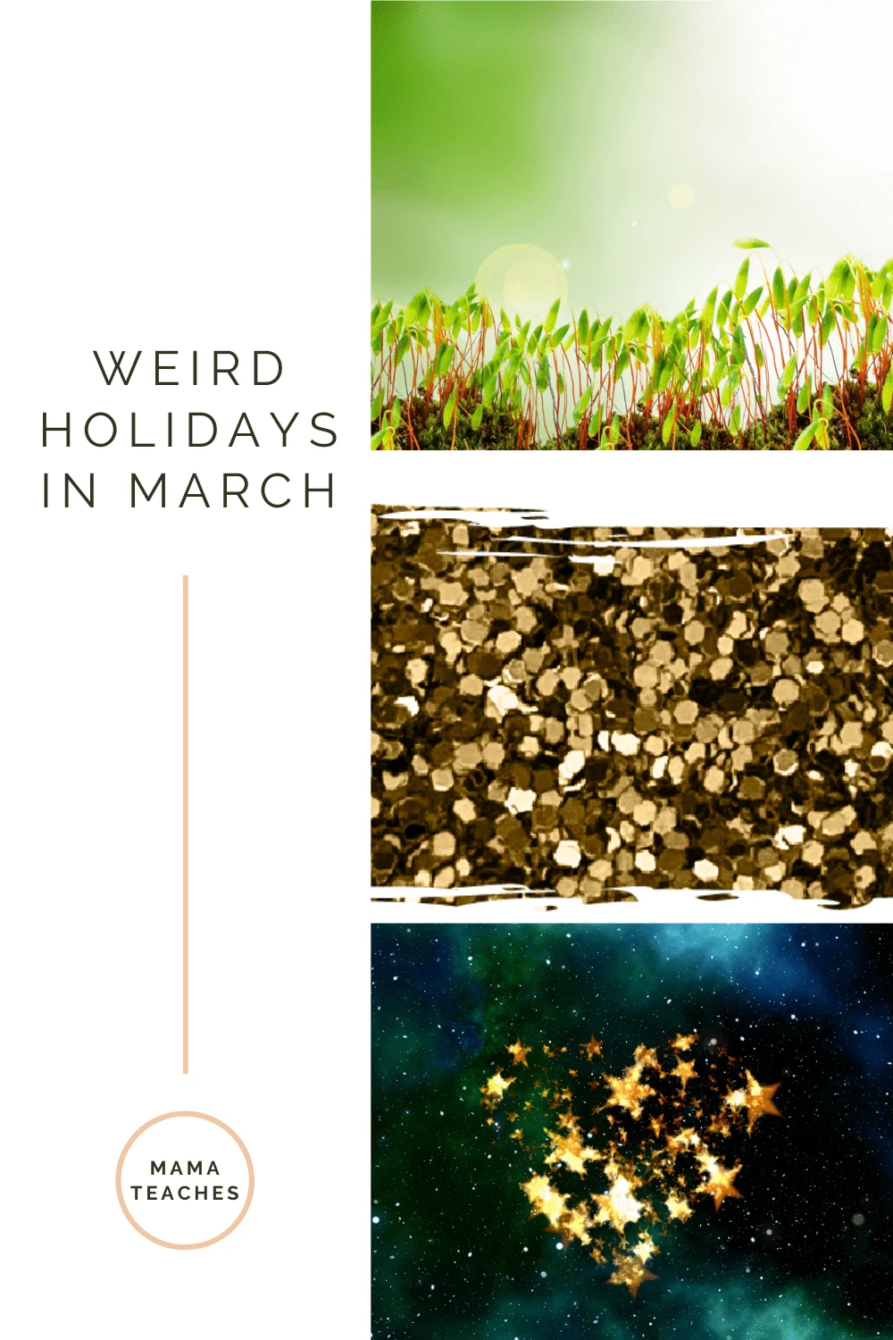 Weird Holidays in March