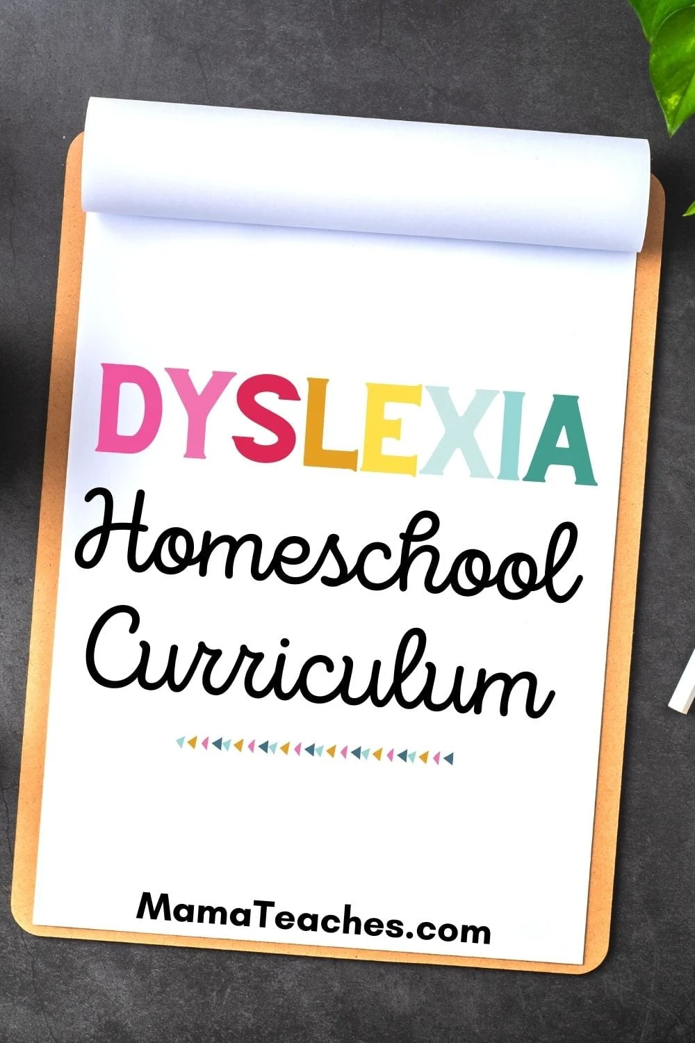 Dyslexia Homeschool Curriculum for Students