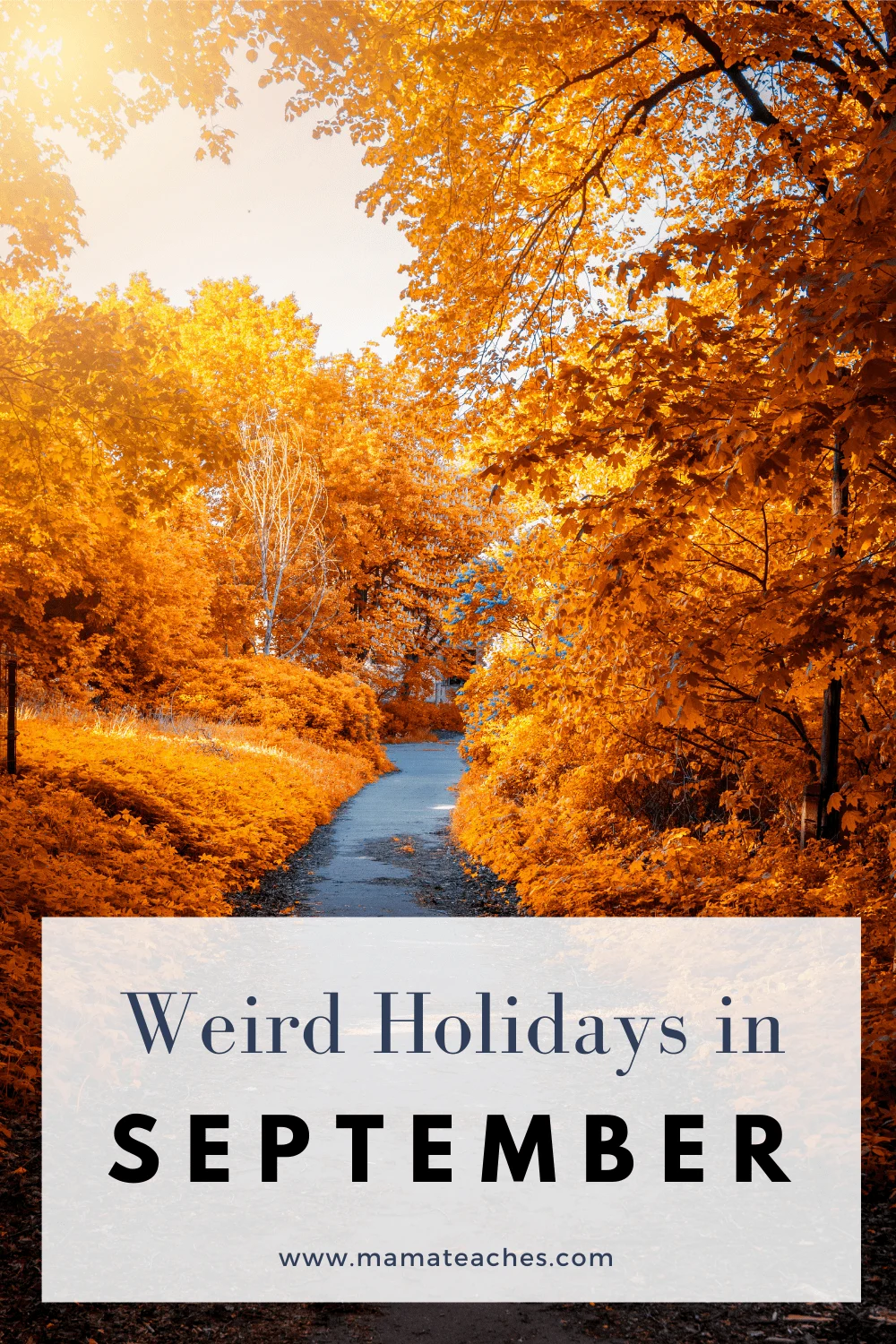 Weird Holidays in September