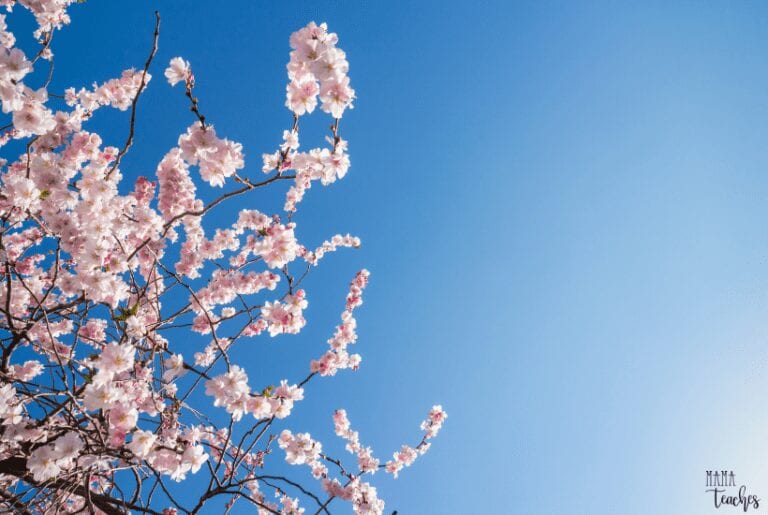 25 Spring Would You Rather Questions for Kids
