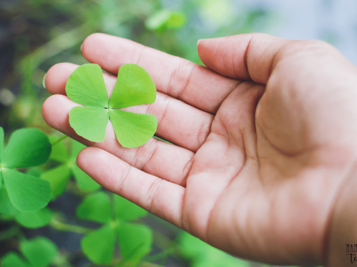 25 St. Patrick's Day Would You Rather Questions for Kids