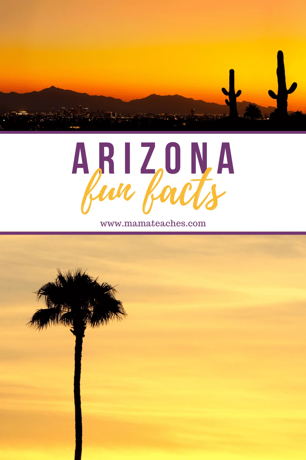 Arizona Fun Facts