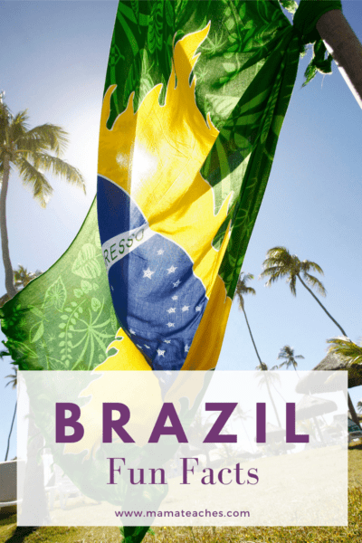 Brazil Fun Facts for Kids: Interesting and Unusual Facts - Mama Teaches