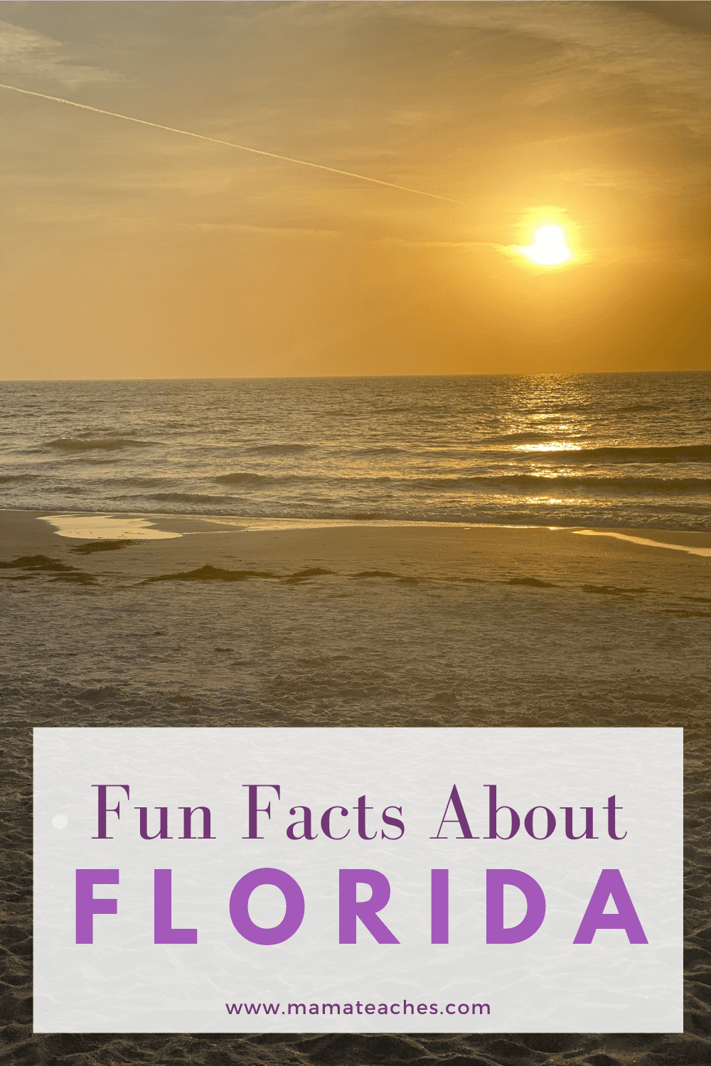 Fun Facts About Florida
