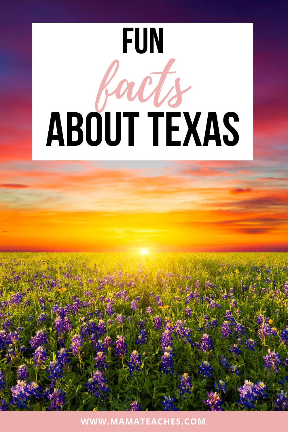 Fun Facts About Texas State Facts for Kids Mama Teaches