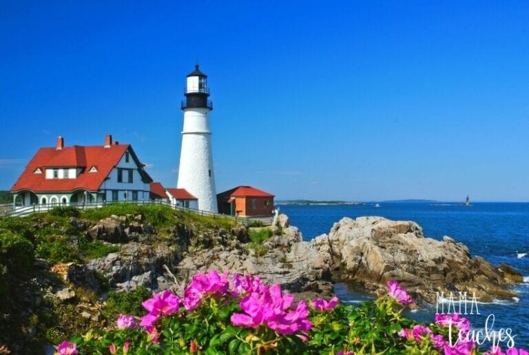 Fun Facts About Maine for Kids