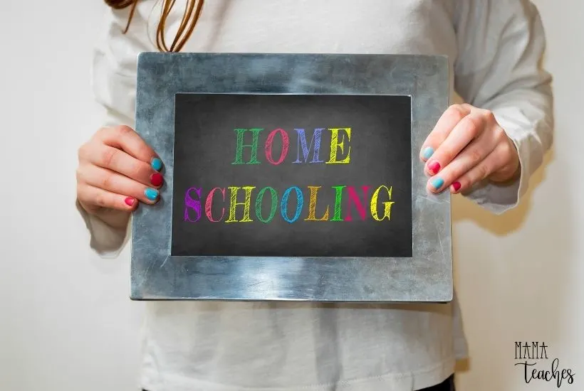 unny First Day of Homeschool Picture Ideas