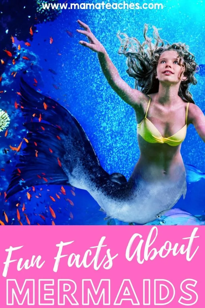 Fun Facts About Mermaids