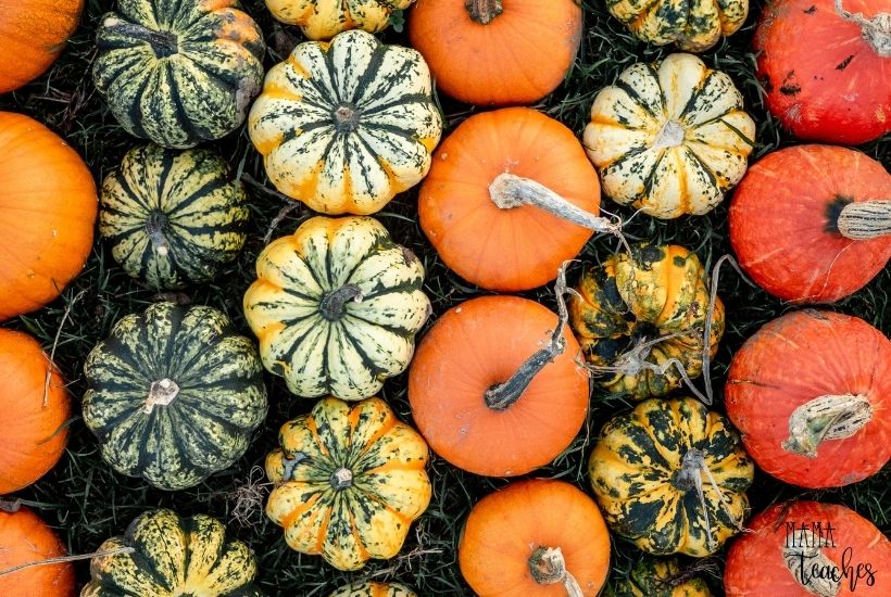 Fun Facts About Pumpkins