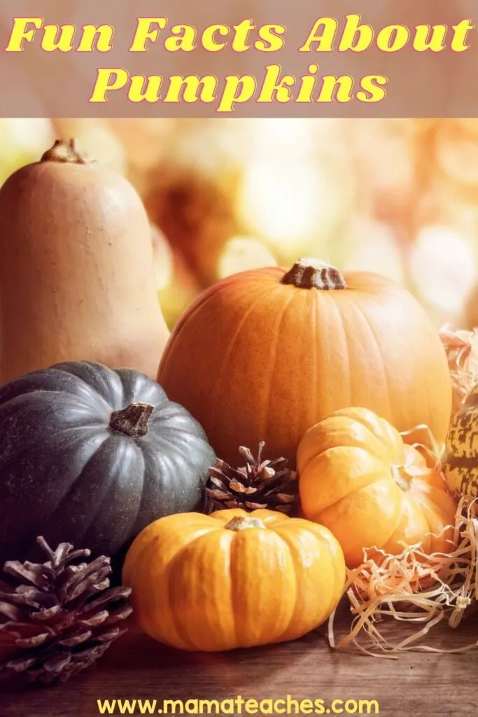 Fun Facts About Pumpkins