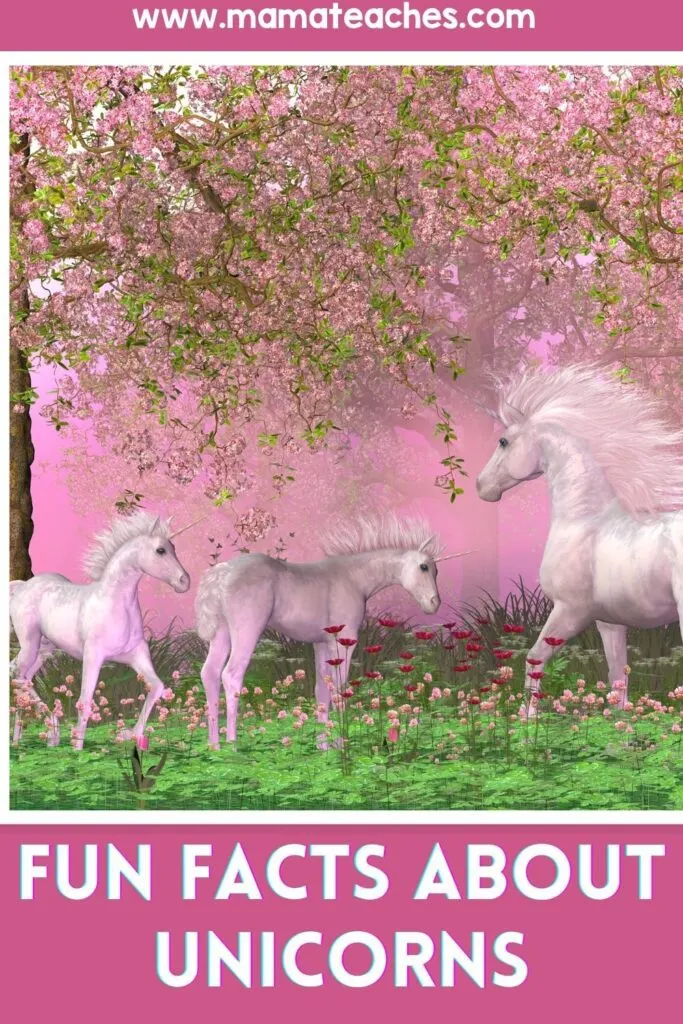 What is a Unicorn?  Unicorn Facts for Teachers and Parents