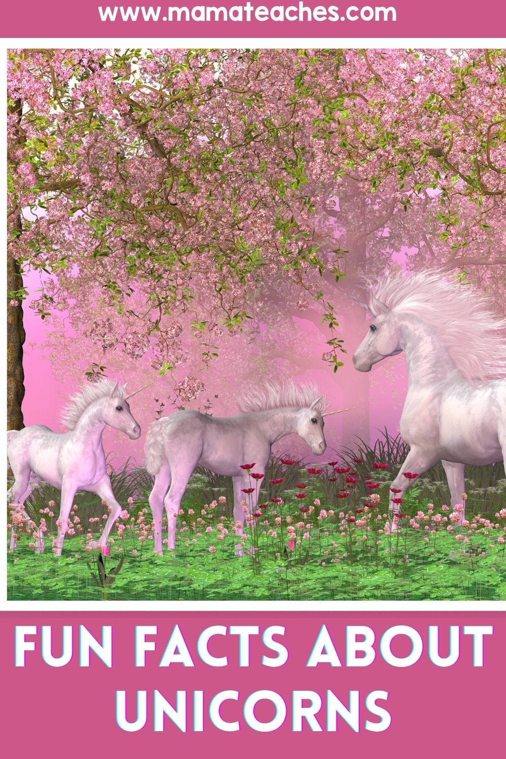 Fun Facts About Unicorns - Mama Teaches
