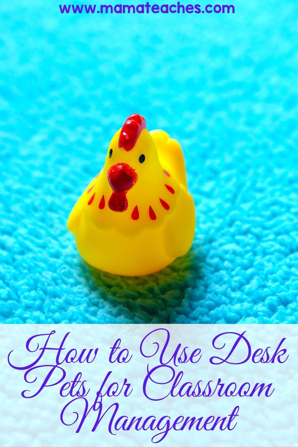 How To Use Desk Pets For Classroom Management Mama Teaches