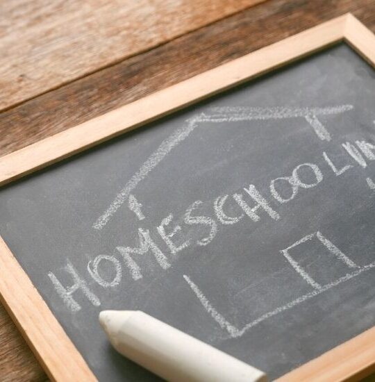 5 Homeschool Curriculums You Should Be Using - Pin7