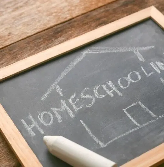 5 Homeschool Curriculums You Should Be Using - Pin7