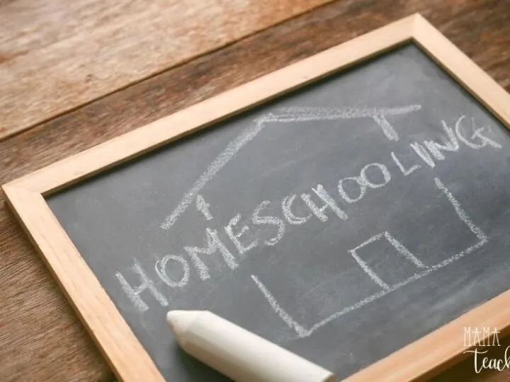 5 Homeschool Curriculums You Should Be Using - Pin7