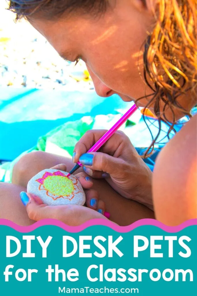 DIY Desk Pets for the Classroom