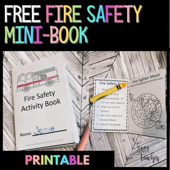 FREE FIRE SAFETY MINI BOOK