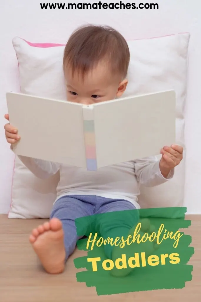 Homeschooling Toddlers