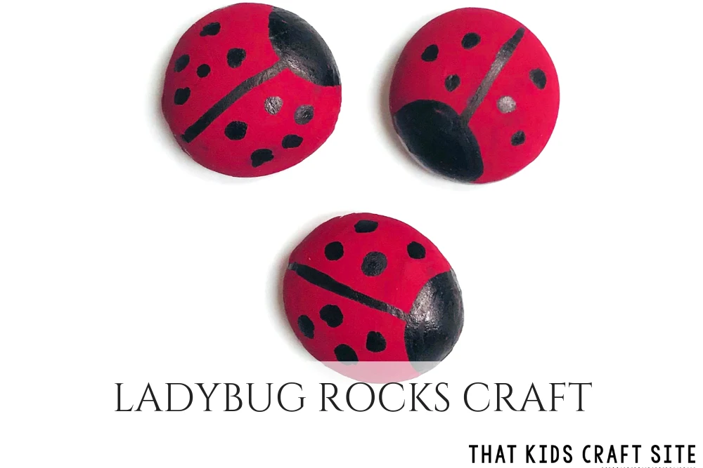 Ladybug Rocks Craft for DIY Desk Pets