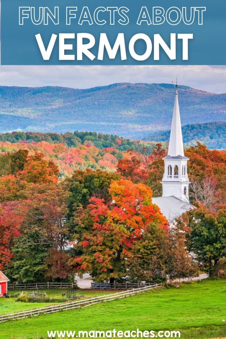 Fun Facts About Vermont Mama Teaches