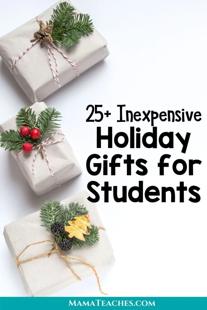 Inexpensive Holiday Gift Ideas for Students