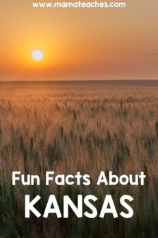 Fun Facts About Kansas for Kids - Mama Teaches