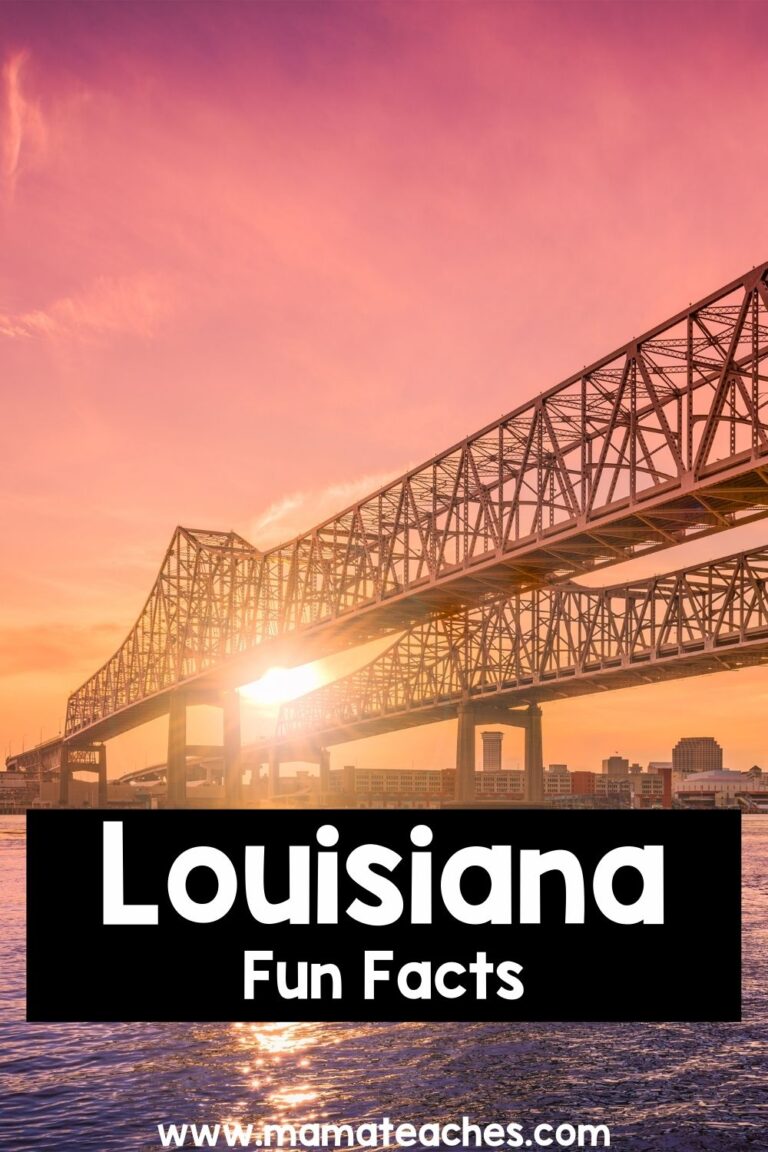 Fun Facts About Louisiana Mama Teaches