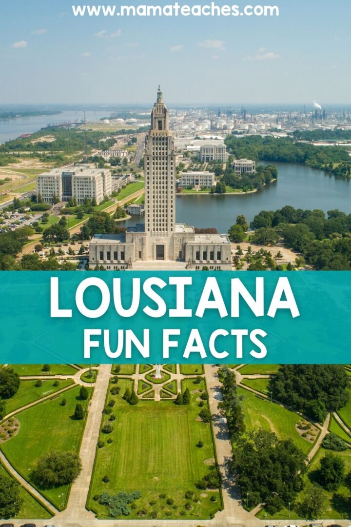 Fun Facts About Louisiana Mama Teaches