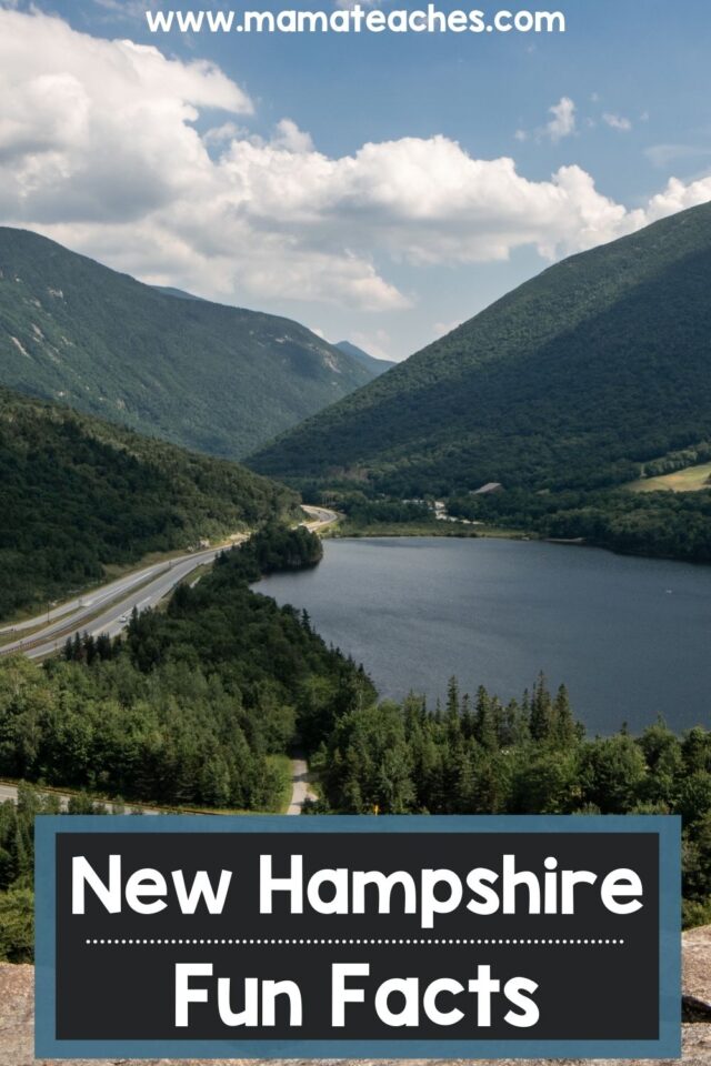 fun-facts-about-the-new-hampshire-colony-fun-guest