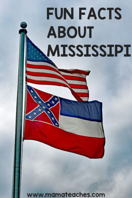 Fun Facts About Mississippi Mama Teaches