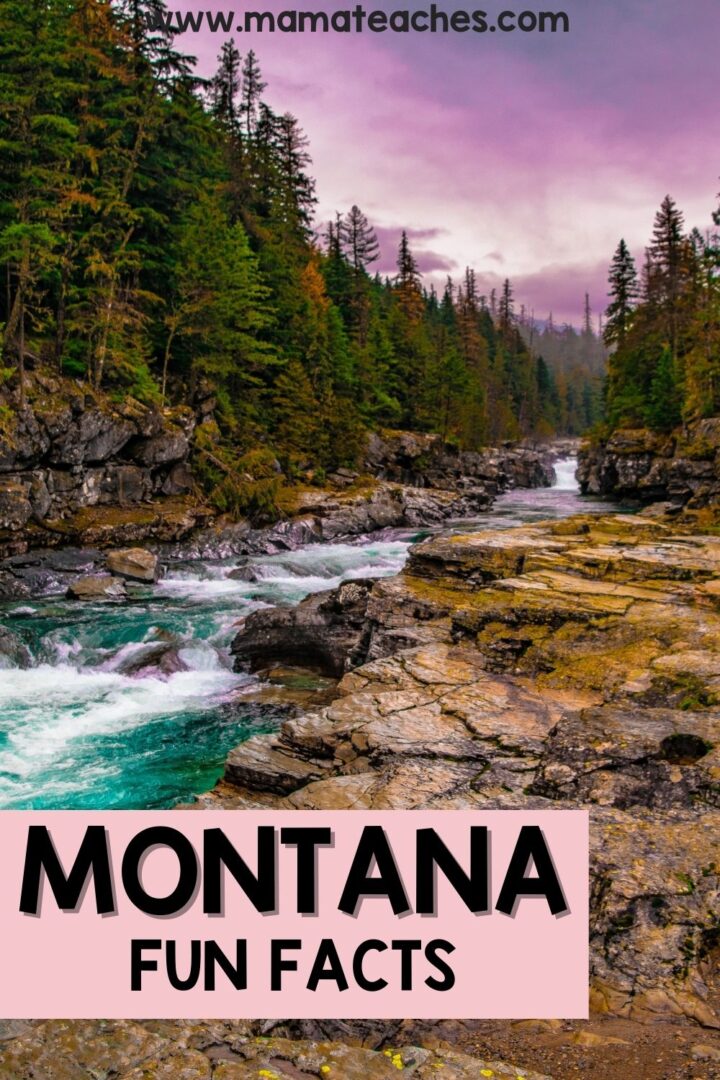 Fun Facts About Montana Mama Teaches