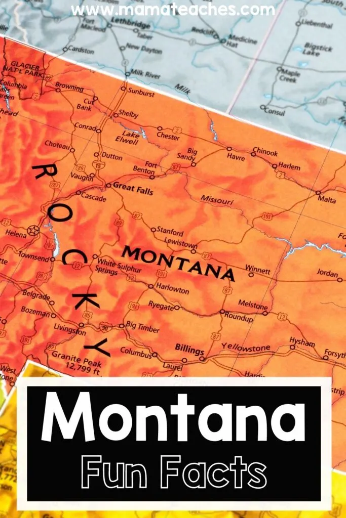 Fun Facts About Montana