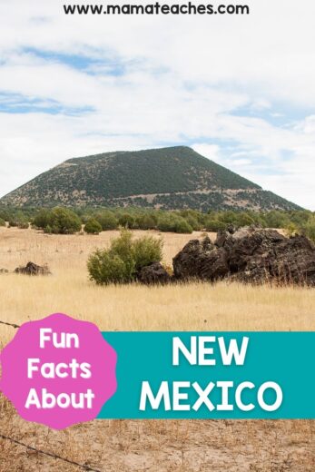 NEW MEXICO FUN FACTS AND TRIVIA visual data 7
