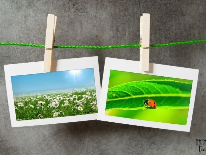 Picture Writing Prompts for Kids