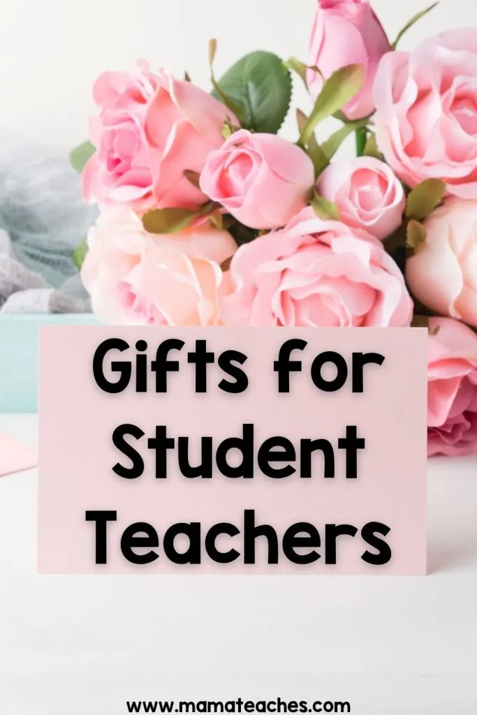 Gifts for Student Teachers