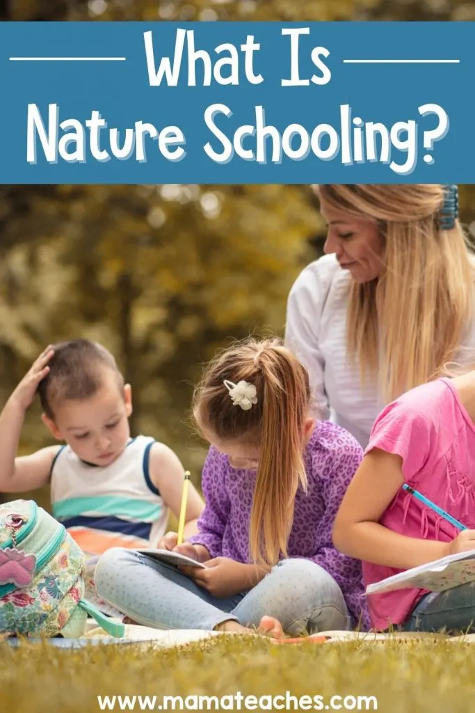 What is Nature Schooling