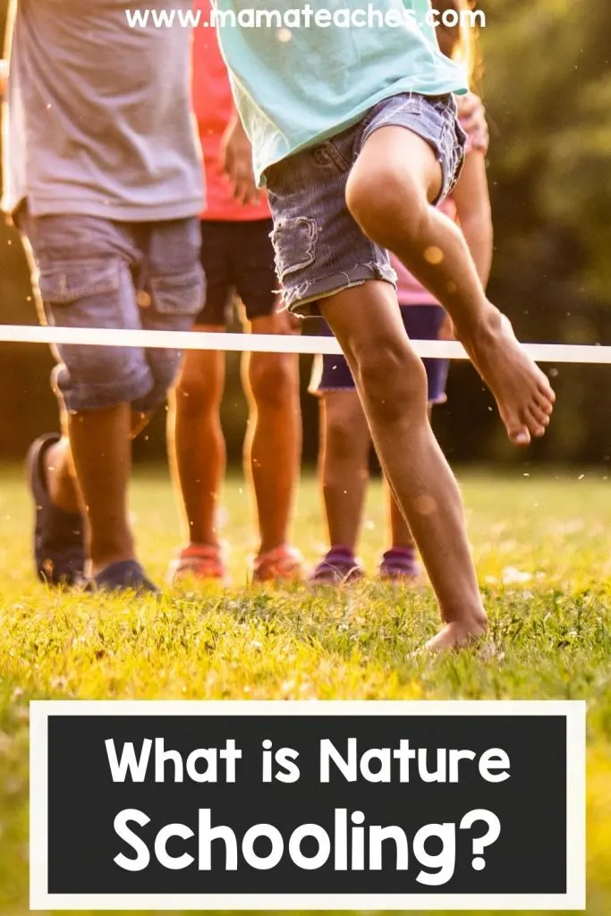 What is Nature Schooling