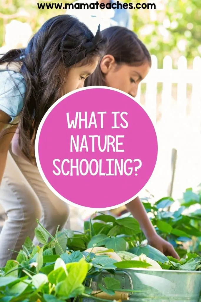 What is Nature Schooling