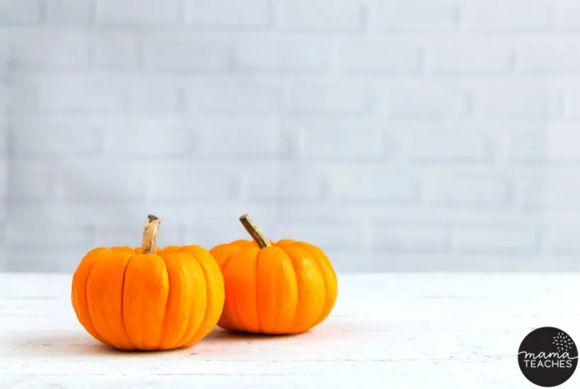 Halloween Decorations for the Classroom - 2 pumpkins on a table