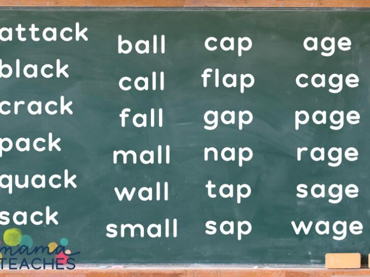 Complete List of Word Families