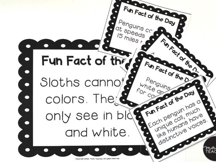 Build Classroom Community with a Fact a Day