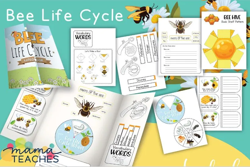 All About Bees Teaching Kids About Bees