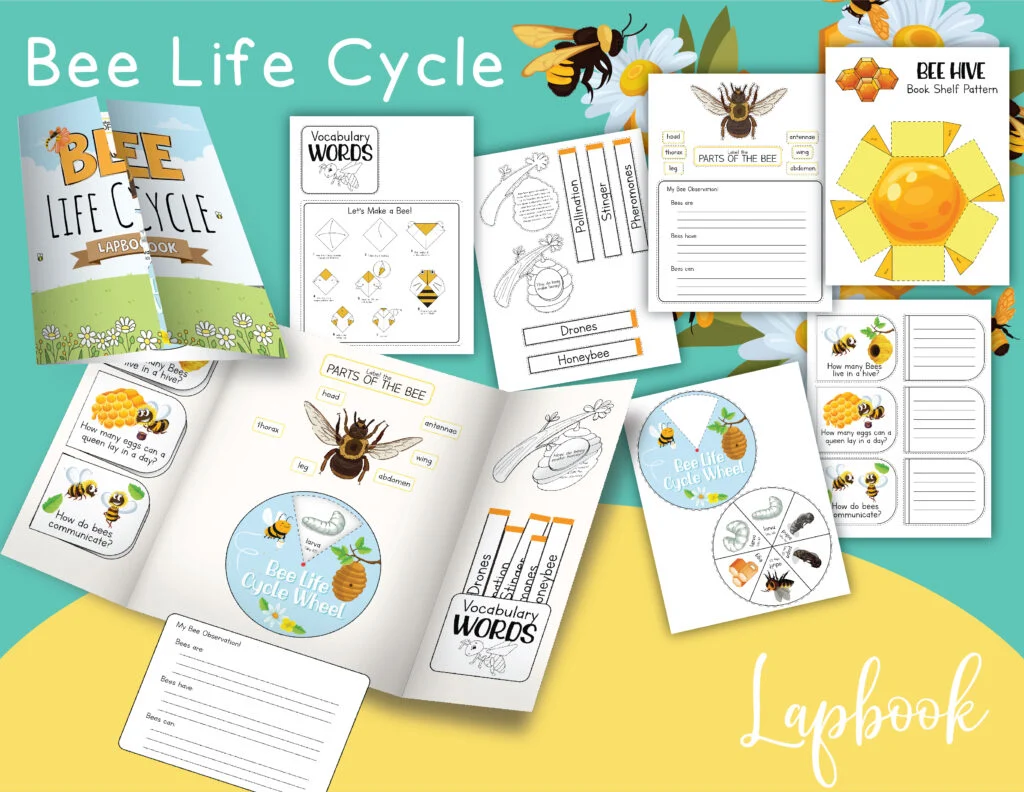 Bee Lapbook